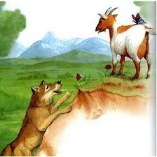 Raposa sentada embaixo de um pé de uva